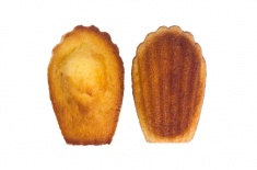 Madeleine